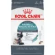 Product Royal Canin Feline Adult Dry Cat Food Care Nutrition, Hairball Care