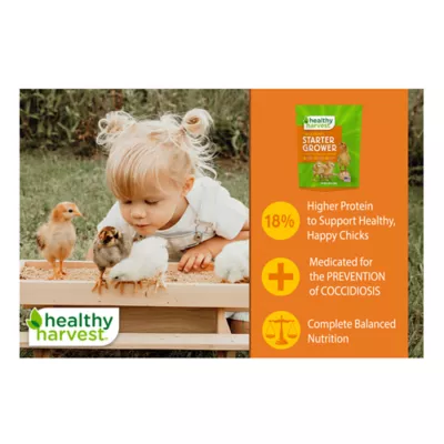 Product Healthy Harvest® Medicated Chick Starter Grower Crumbles