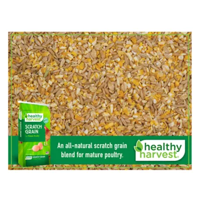 Product Healthy Harvest® Scratch Grain