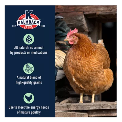 Product Kalmbach Feeds® 5 Grain Premium Scratch