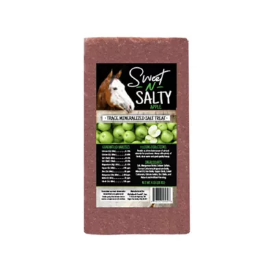 Product Sweet N Salty Apple Salt Brick for Horses