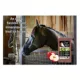 Product Sweet N Salty Apple Salt Brick for Horses