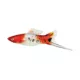 Product Sanke Swordtail
