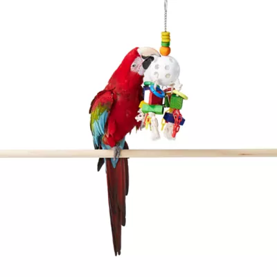 Product All Living Things® Wiffle Ball and Chains Bird Toy