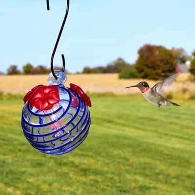 Product Gift Essentials Blue Stripes Glass Hummingbird Feeder