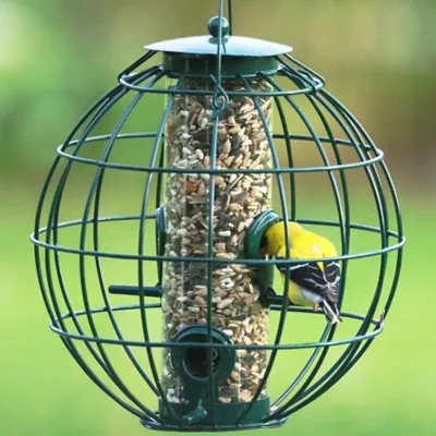 Product Backyard Essentials Petite Orb Caged Seed Bird Feeder