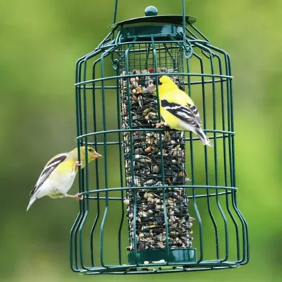 Product Backyard Essentials Petite Caged Seed Bird Feeder