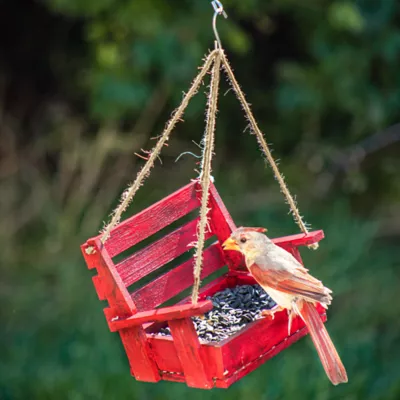 Product Backyard Essentials Red Hanging Porch Swing Bird Feeder