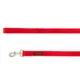 Product Top Paw® Standard Dog Leash: 6-ft long