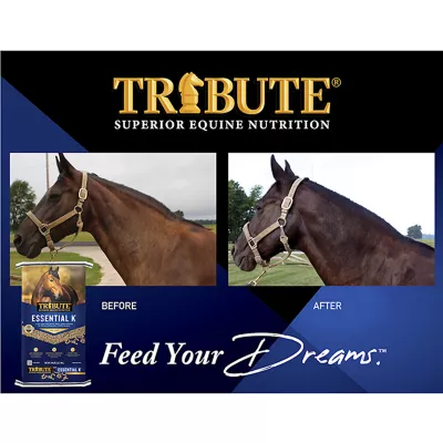 Product Tribute Equine Nutrition® Essential K® Ration Balancer