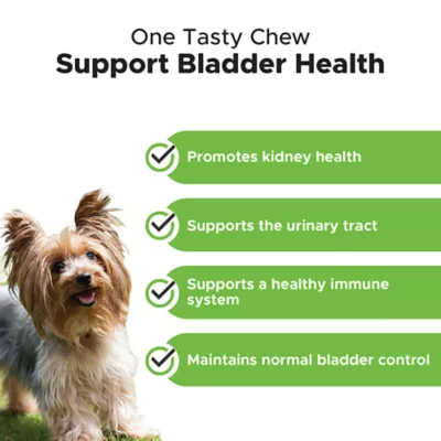 Product Pet Honesty Bladder Health Cranberry