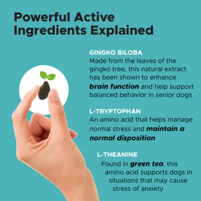 Product Pet Honesty Hemp Calming Max Strength Soft Chews