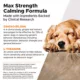 Product Pet Honesty Hemp Calming Max Strength Soft Chews