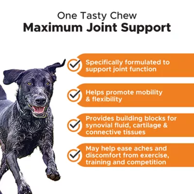 Product Pet Honesty Hip &Joint Max Strength - Soft Chews