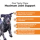 Product Pet Honesty Hip &Joint Max Strength - Soft Chews