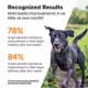 Product Pet Honesty Hip &Joint Max Strength - Soft Chews
