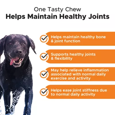 Product Pet Honesty Hip & Joint Health - Soft Chews