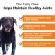 Product Pet Honesty Hip & Joint Health - Soft Chews