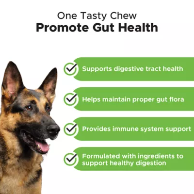 Product Pet Honesty Digestive Probiotics - Soft Chews