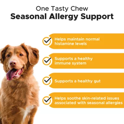 Product Pet Honesty Allergy Support - Soft Chews