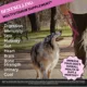 Product Pet Honesty 10-in-1 Multivitamin - Soft Chews