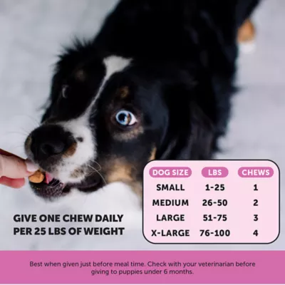 Product Pet Honesty 10-in-1 Multivitamin - Soft Chews