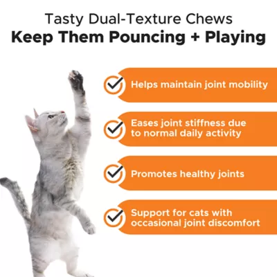 Product Pet Honesty Hip & Joint Chews Supplement for Cats