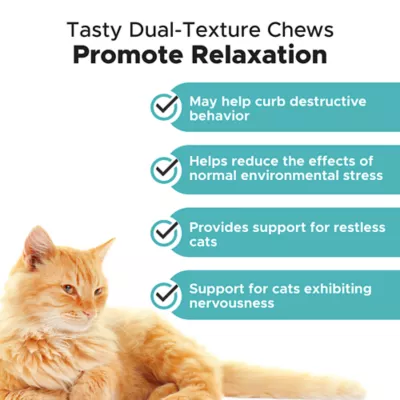 Product Pet Honesty Calming Chews for Cats