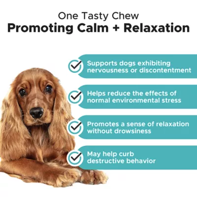 Product Pet Honesty Hemp Calming - Soft Chews