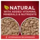 Product Purina ONE® True Instinct Adult Wet Dog Food - High-Protein, Natural, 11.65 lb., Variety Pack
