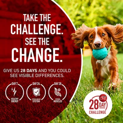 Product Purina ONE® True Instinct Adult Wet Dog Food - High-Protein, Natural, 11.65 lb., Variety Pack