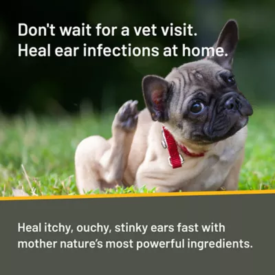 Product Silver Honey™ Rapid Ear Care Treatment
