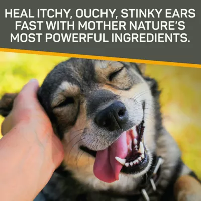 Product Silver Honey™ Rapid Ear Care Treatment