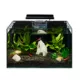 Product Top Fin® 5 Gallon Shrimp & Plant Aquarium