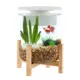 Product Top Fin® 3 Gallon Bamboo Base Aquarium