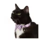 Product Whisker City® Pink Skull & Bones Bow Tie Easy Release Kitten & Cat Collar
