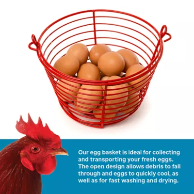 Product Prevue Pet Products Egg Basket