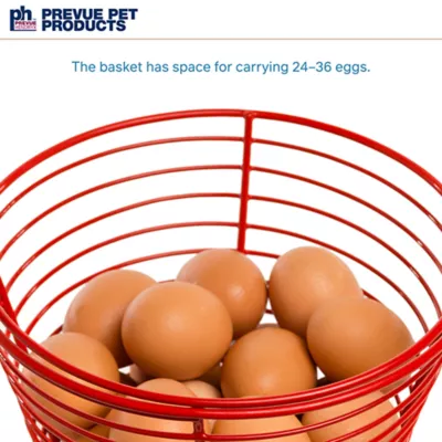 Product Prevue Pet Products Egg Basket
