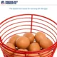 Product Prevue Pet Products Egg Basket