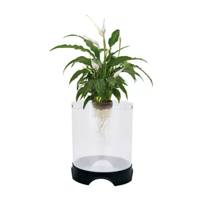Product Penn-Plax Aqua-Ponic Aquarium