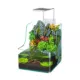 Product Penn-Plax Aquaterrium Planting Aquarium - 5.5 Gallon