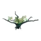Product Penn-Plax Green Leaf Driftwood Aquarium Plant