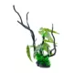 Product Penn-Plax Green Driftwood Aquarium Plant