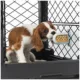 Product Diggs Gold n' Delicious Treat Spread All Life Stage Dog Treat - Peanut Butter