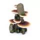 Product Penn-Plax Mushrooms On Rock Aquarium Ornament