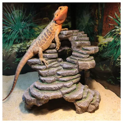 Product Penn-Plax Shale Scapes Aquarium Ornament