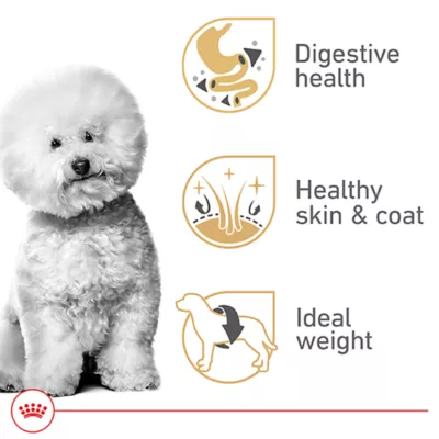 Product Royal Canin Bichon Frise Small Breed Adult Dry Dog Food - Skin & Coat Health