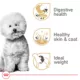 Product Royal Canin Bichon Frise Small Breed Adult Dry Dog Food - Skin & Coat Health
