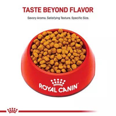 Product Royal Canin Breed Health Nutrition Chihuahua Breed Specific Aging 8+ Senior Dog Dry Food - 2.5 lb