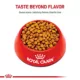 Product Royal Canin Breed Health Nutrition Chihuahua Breed Specific Aging 8+ Senior Dog Dry Food - 2.5 lb